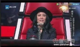 爆料那英夜场出道视频播放